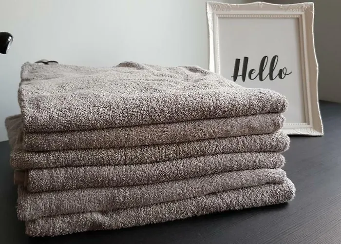 Starowiejska 37 公寓 *